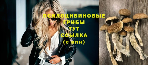 дмт Майский