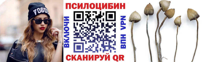 Галлюциногенные грибы GOLDEN TEACHER  продажа наркотиков  Юхнов 